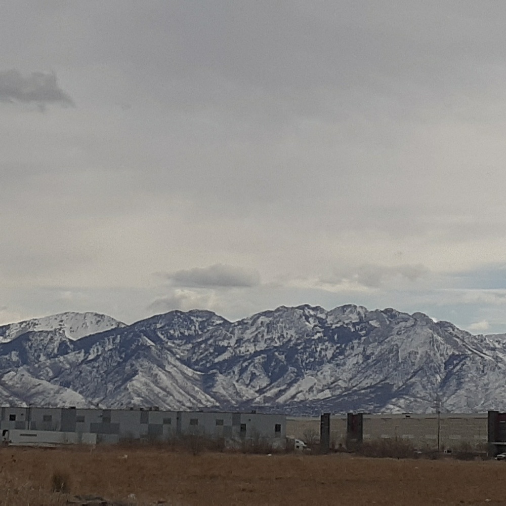 Meet your Posher, Luis